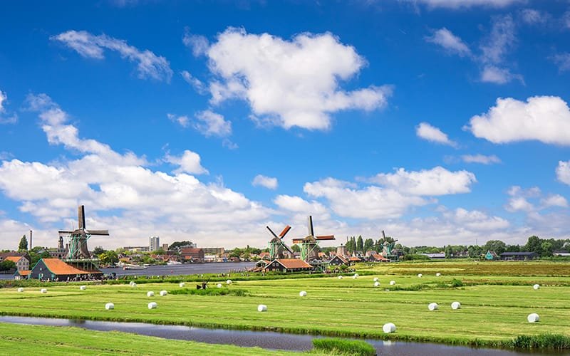 a field with white hay bales and windmills