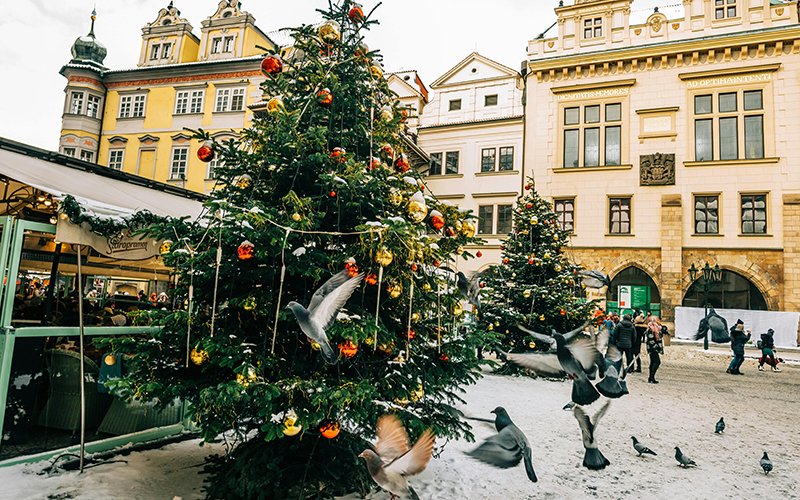 a group of birds flying over a christmas tree